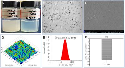 A promising self-nanoemulsifying adjuvant with plant-derived saponin D boosts immune response and exerts an anti-tumor effect